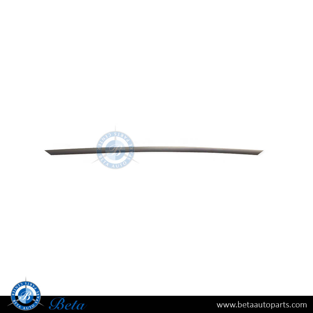 Front Bumper Moudling Modern for BMW 3 Series F30 2012-2015 models, Part Number 51117293094 Front Bumper Moudling Modern for BMW 3 Series F30 2012-2015 models, Part Number 51117293094